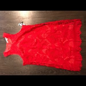 Revolve Red Lace Dress